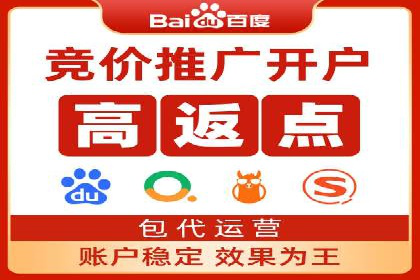 某某SEM服务公司成功案例：从数据出发的营销策略
